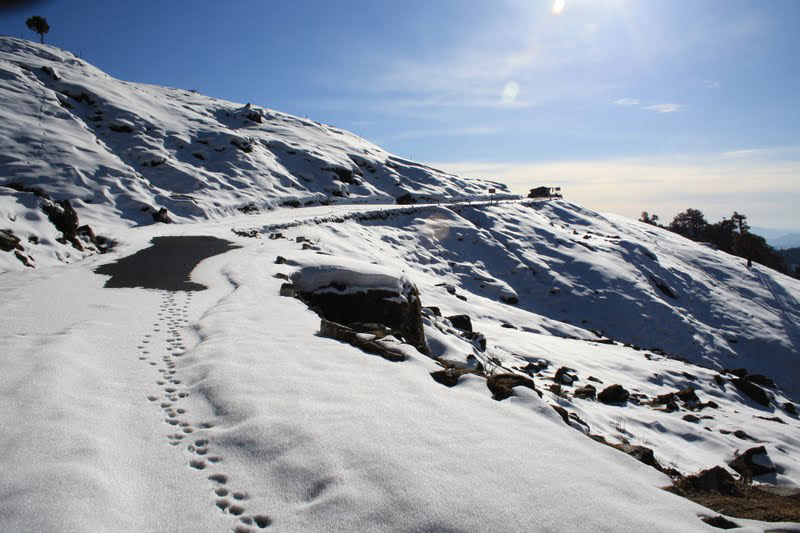 auli chopta tour package